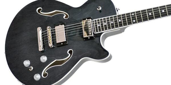 Amazon | GODIN GUITAR（ゴダンギター） Montreal Premiere AE Indigo